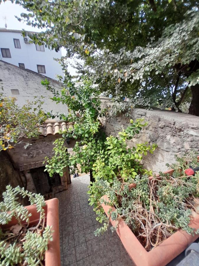 IznatorafCasa Pozo De La Nieve别墅 外观 照片