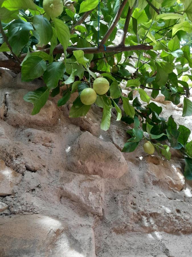 IznatorafCasa Pozo De La Nieve别墅 外观 照片